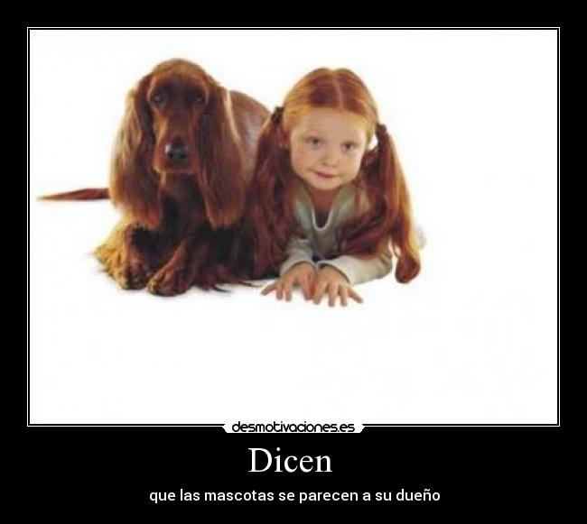 Dicen - que las mascotas se parecen a su dueño