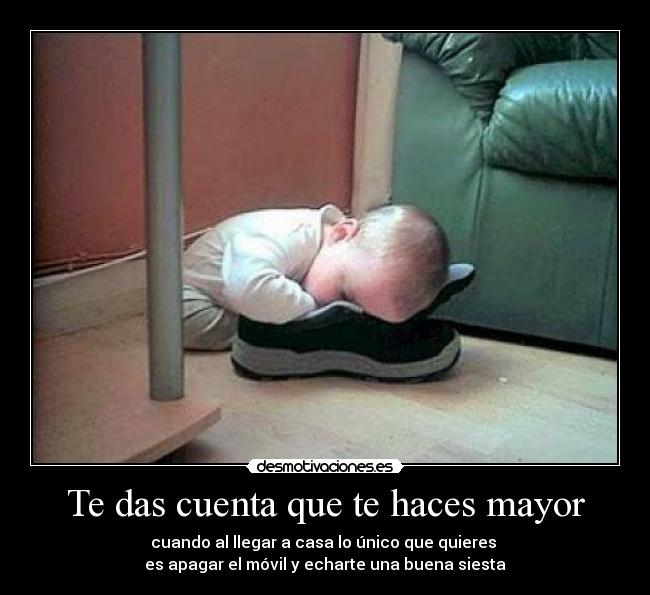 carteles das cuenta siesta desmotivaciones