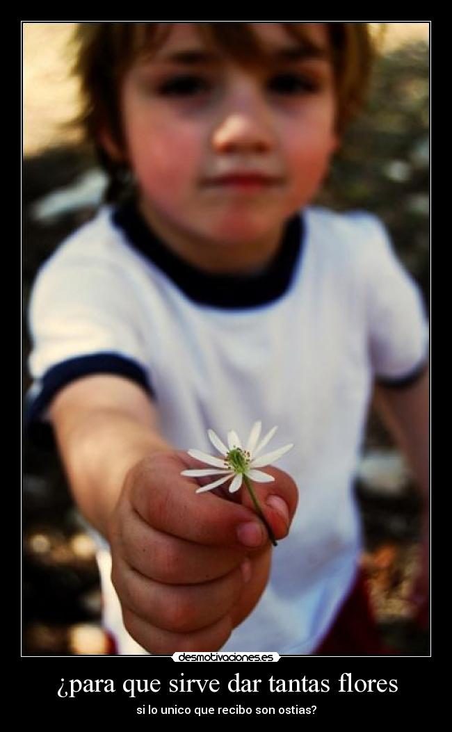 carteles flores ostias unico desmotivaciones