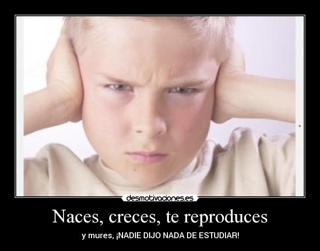 Naces, creces, te reproduces - y mures, ¡NADIE DIJO NADA DE ESTUDIAR!