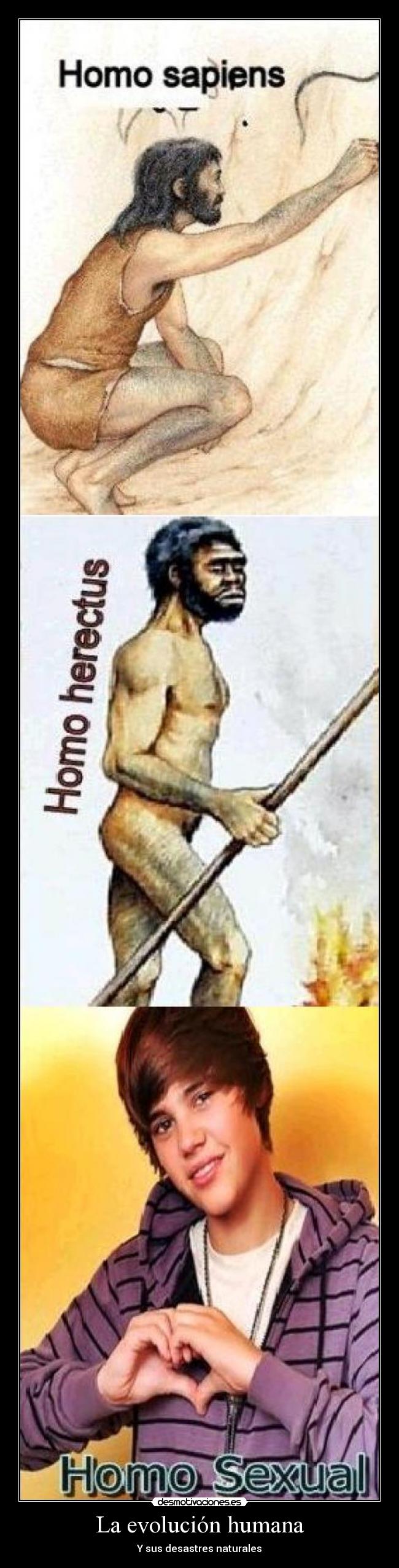 La evolución humana - 