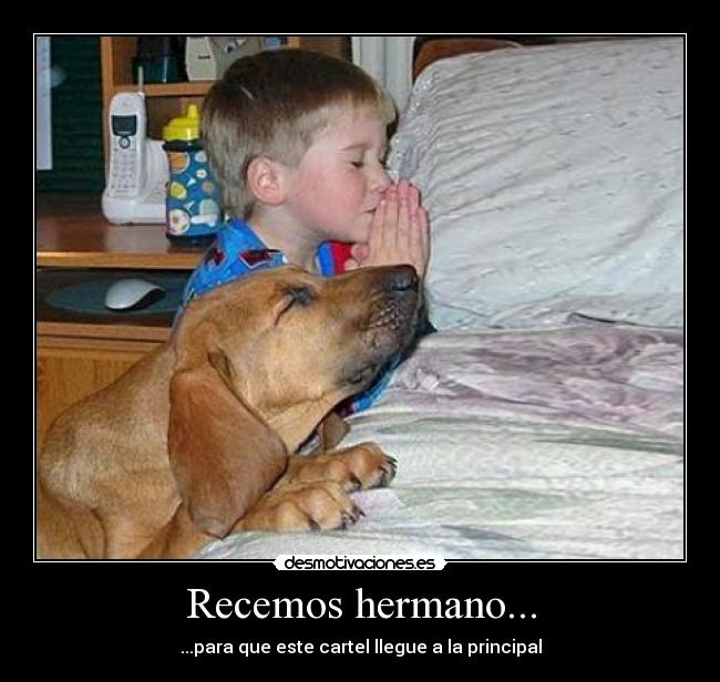 Recemos hermano... -