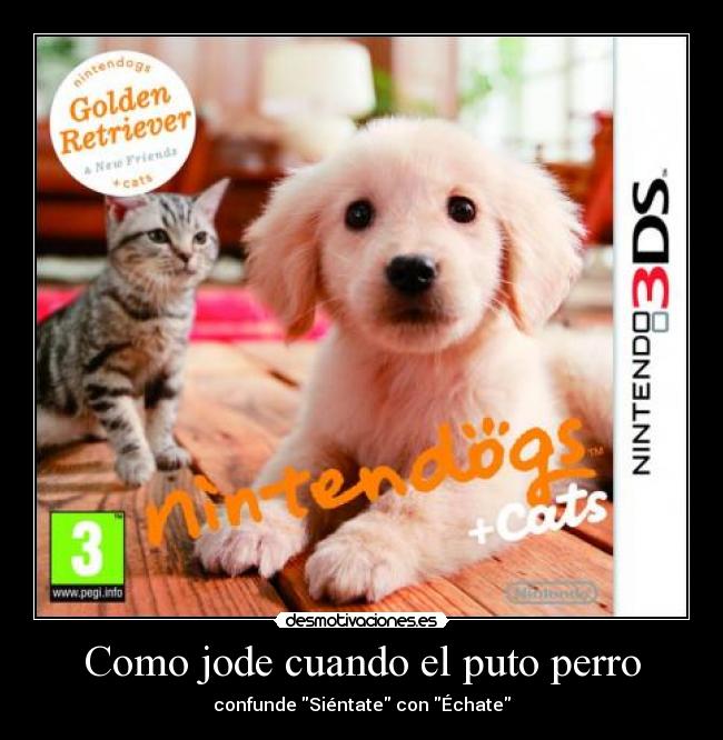 Como jode cuando el puto perro -