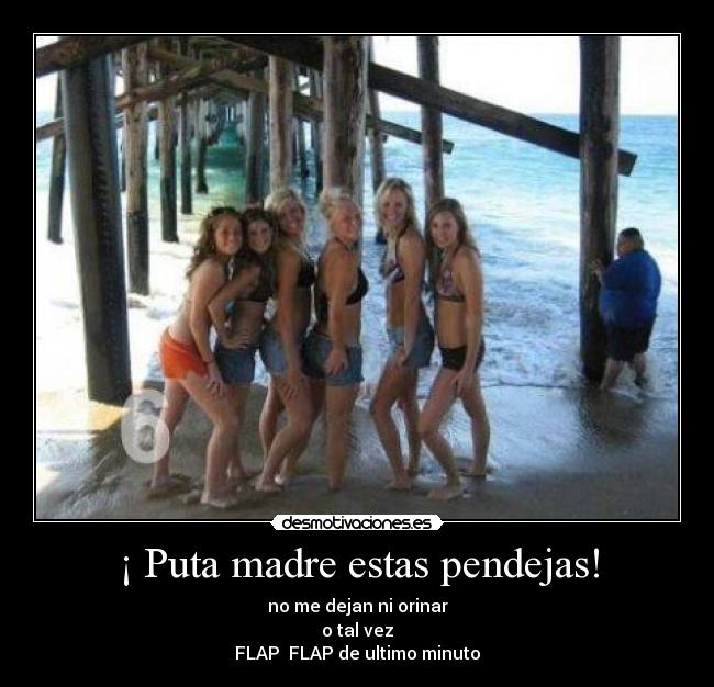 ¡ Puta madre estas pendejas! - no me dejan ni orinar
o tal vez
FLAP FLAP de ultimo minuto
