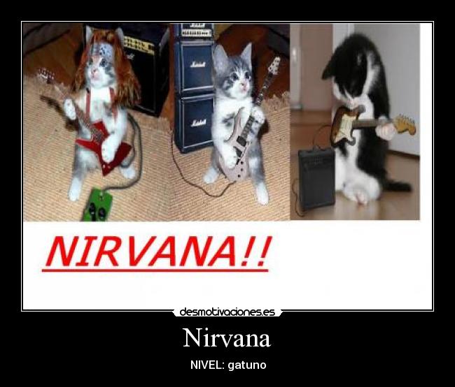 Nirvana - NIVEL: gatuno