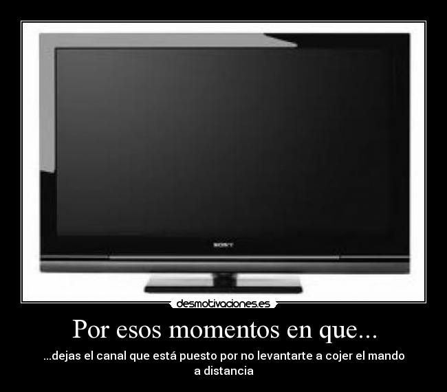 carteles por esos momentos que desmotivaciones