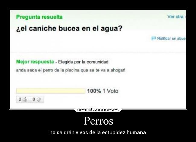 Perros -