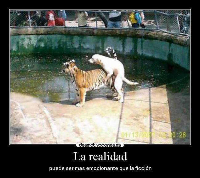 La realidad - 