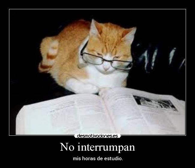 No interrumpan - mis horas de estudio.