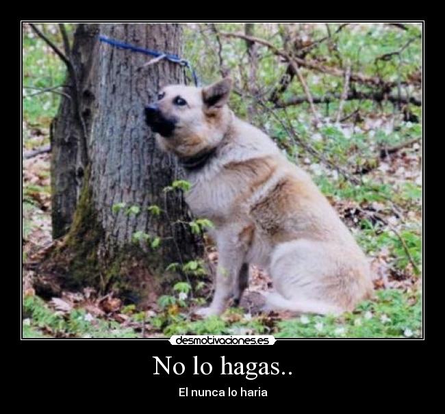 No lo hagas.. - El nunca lo haria