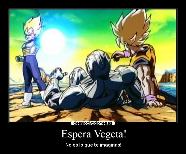 Espera Vegeta! - No es lo que te imaginas!