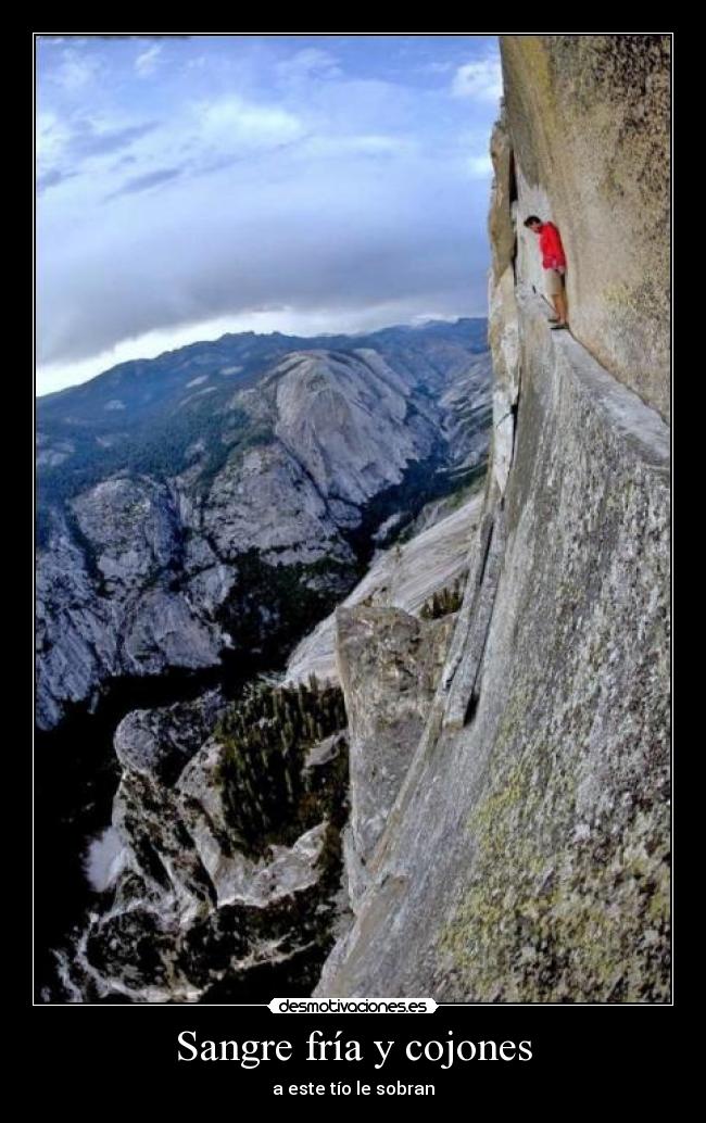 Sangre fría y cojones -
