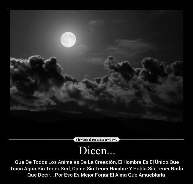 Dicen... -