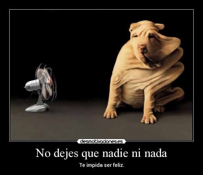No dejes que nadie ni nada -