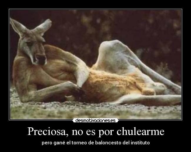 Preciosa, no es por chulearme -