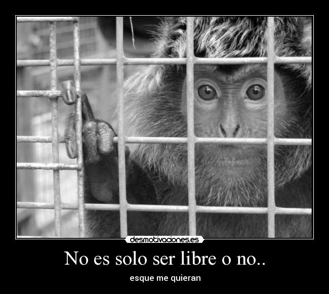 No es solo ser libre o no.. -