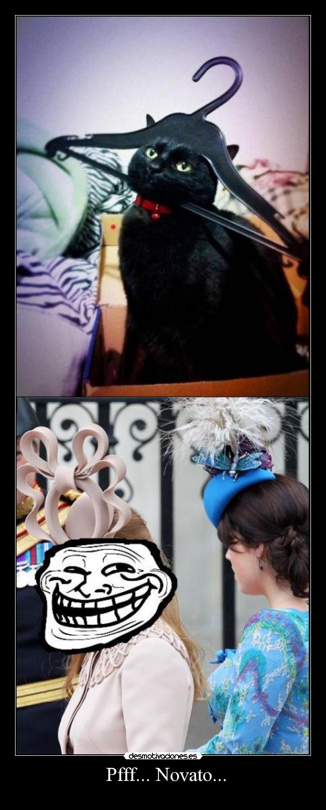 Pfff... Novato... -