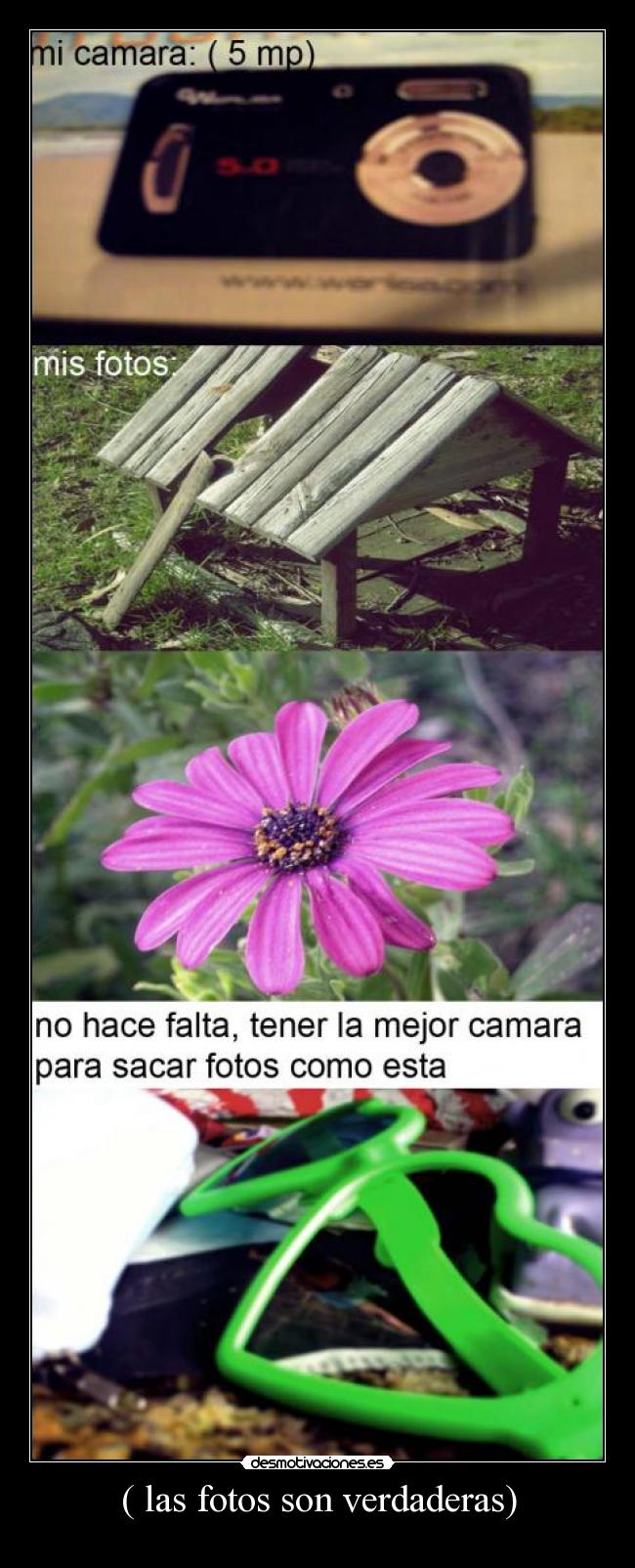 ( las fotos son verdaderas) - 