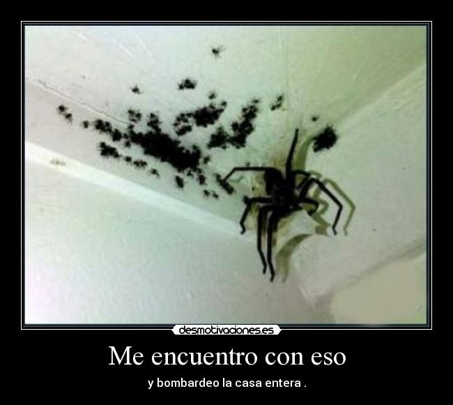 Me encuentro con eso - y bombardeo la casa entera .