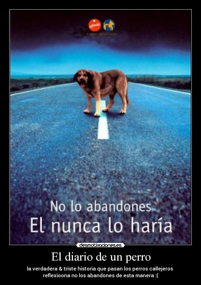 El diario de un perro - la verdadera & triste historia que pasan los perros callejeros
reflexioona no los abandones de esta manera :(