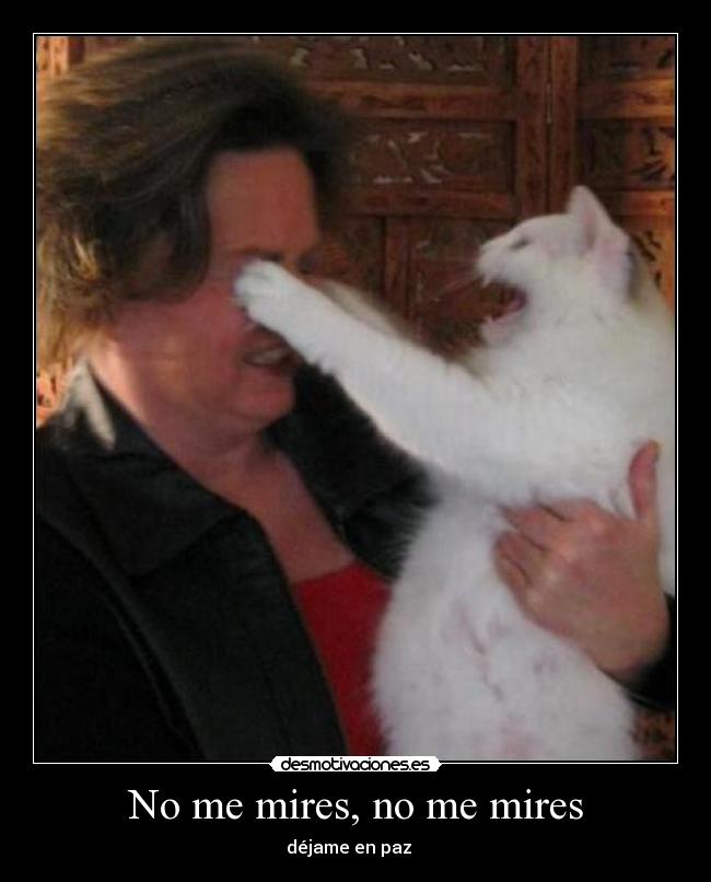 No me mires, no me mires -