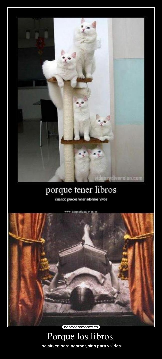 Porque los libros - no sirven para adornar, sino para vivirlos