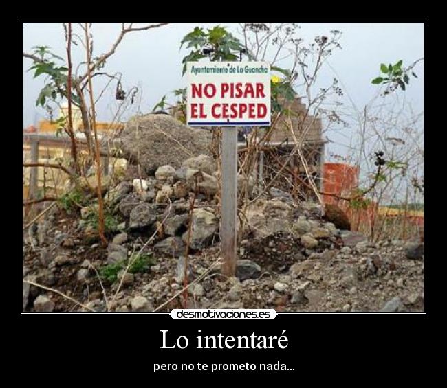 Lo intentaré - pero no te prometo nada...