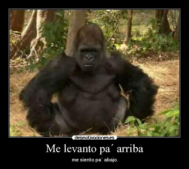 Me levanto pa´ arriba - me siento pa´ abajo.