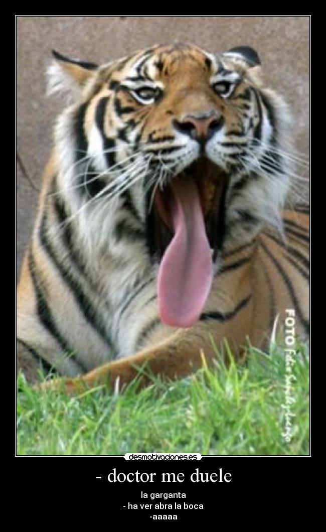- doctor me duele - 