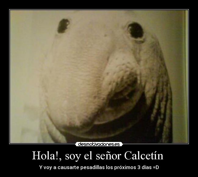 Hola!, soy el señor Calcetín  - Y voy a causarte pesadillas los próximos 3 días =D