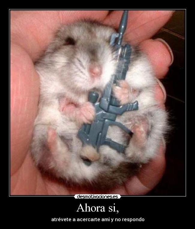 Ahora si, - atrévete a acercarte ami y no respondo