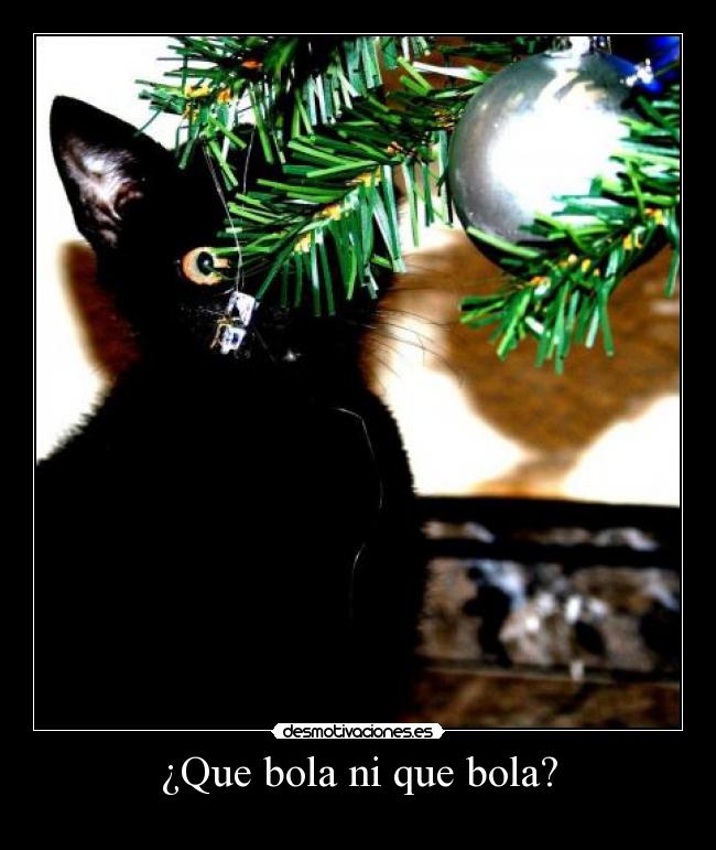 ¿Que bola ni que bola? - 
