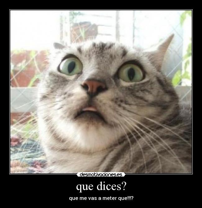 que dices? - que me vas a meter que!!!?