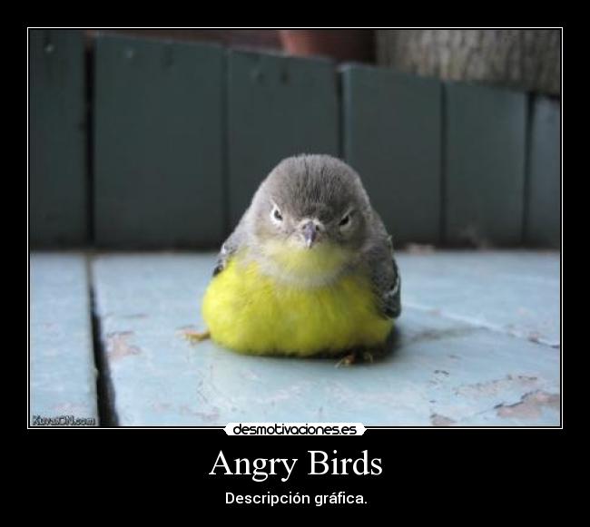 Angry Birds - Descripción gráfica.