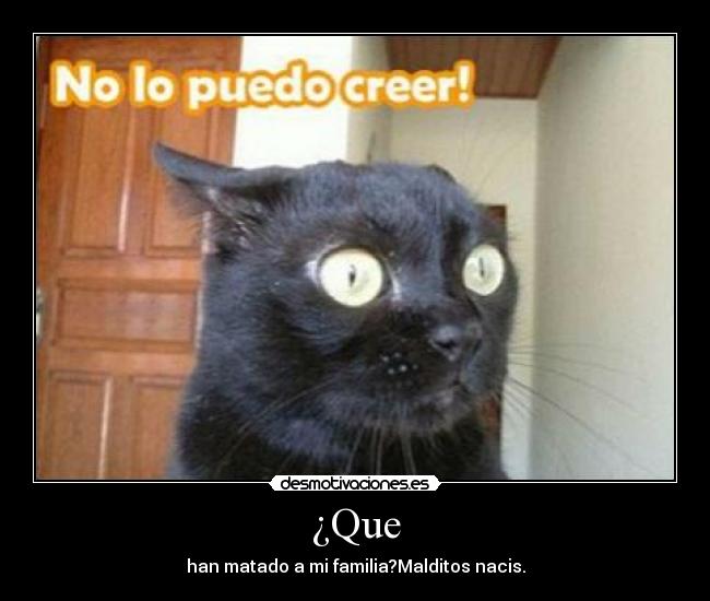 ¿Que - han matado a mi familia?Malditos nacis.