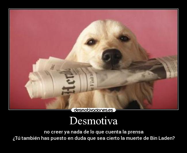 Desmotiva - no creer ya nada de lo que cuenta la prensa
¿Tú también has puesto en duda que sea cierto la muerte de Bin Laden?