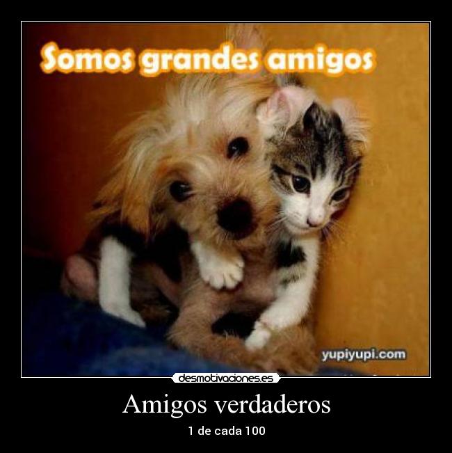 Amigos verdaderos - 