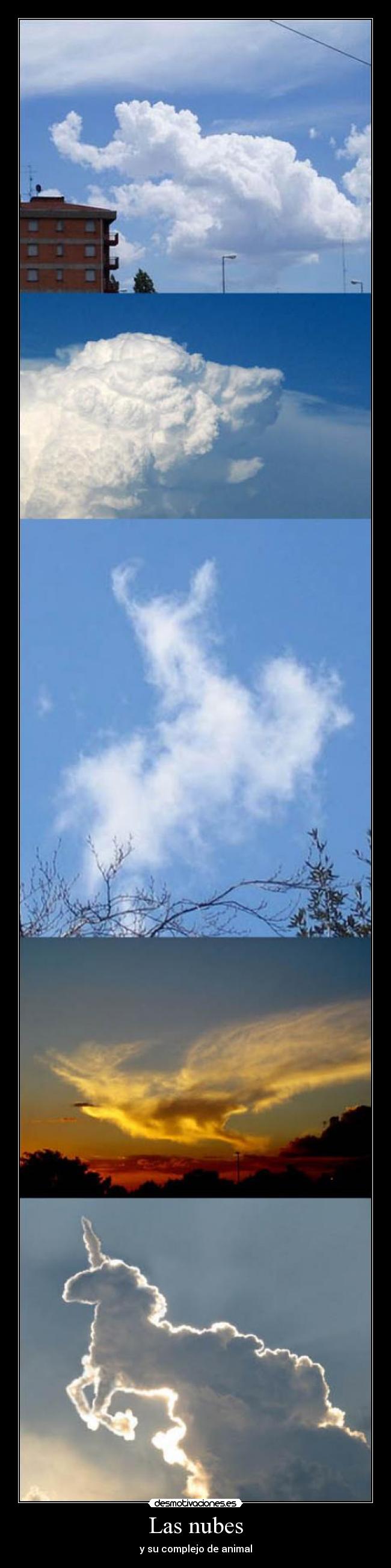 Las nubes - y su complejo de animal