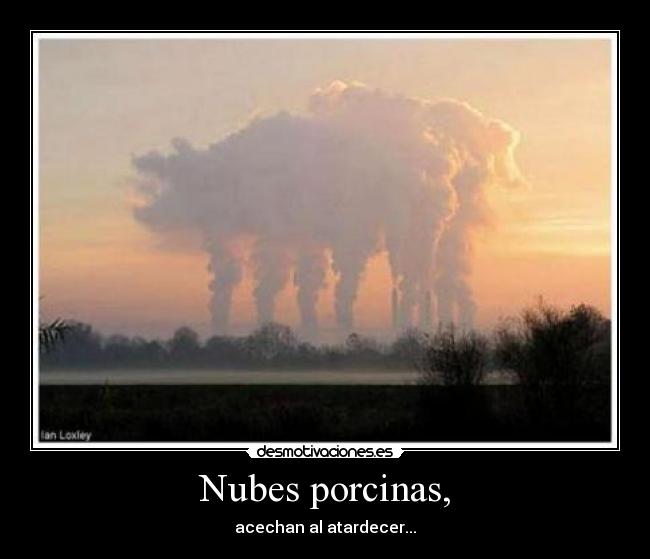 Nubes porcinas, -