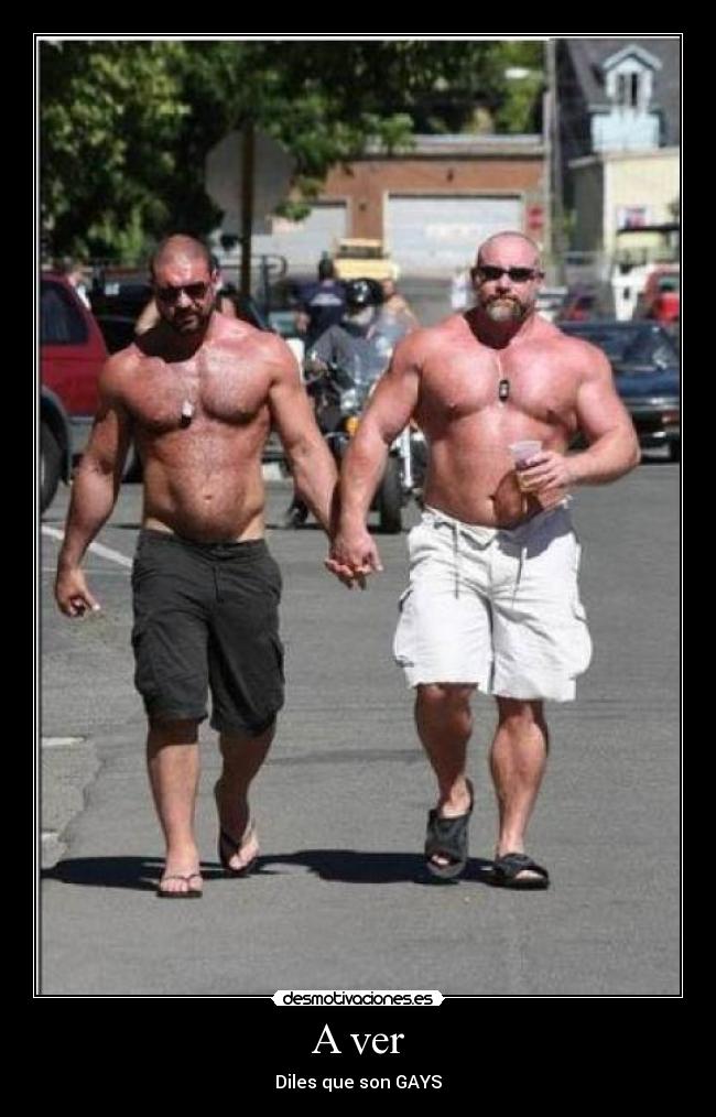 A ver - Diles que son GAYS