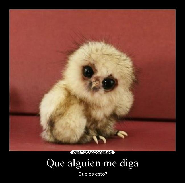 Que alguien me diga -