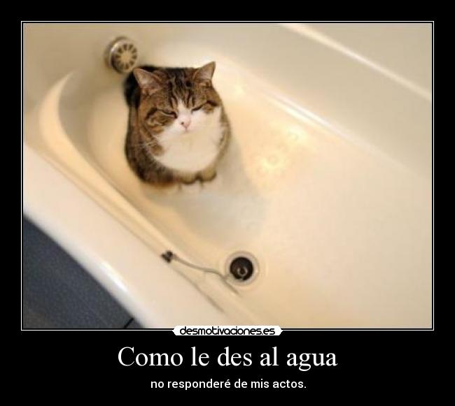 Como le des al agua - 