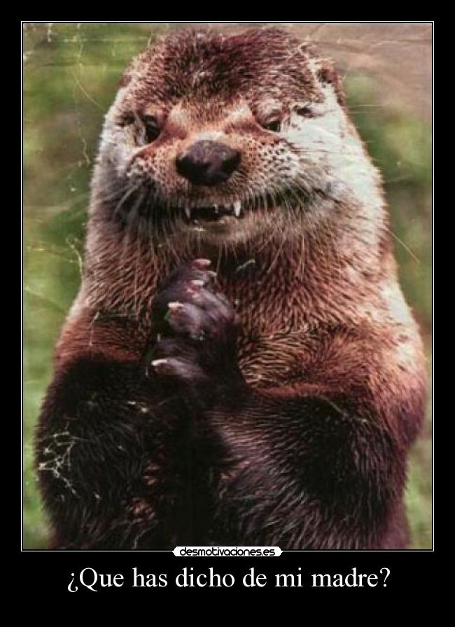 carteles madre bgfgfgb desmotivaciones