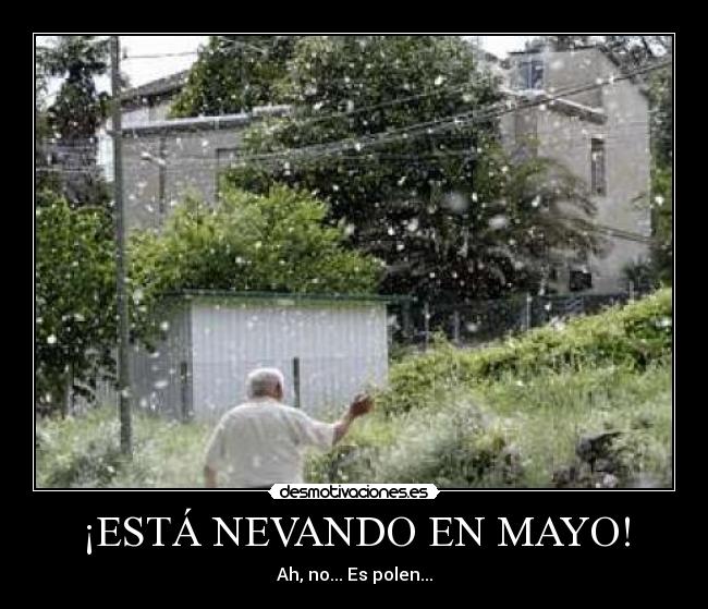 ¡ESTÁ NEVANDO EN MAYO! -