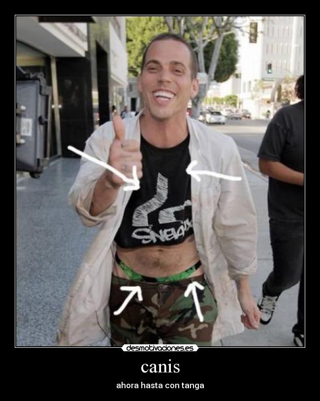 canis - ahora hasta con tanga