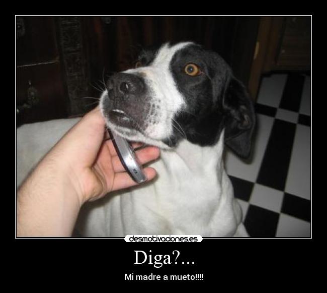 Diga?... - Mi madre a mueto!!!!