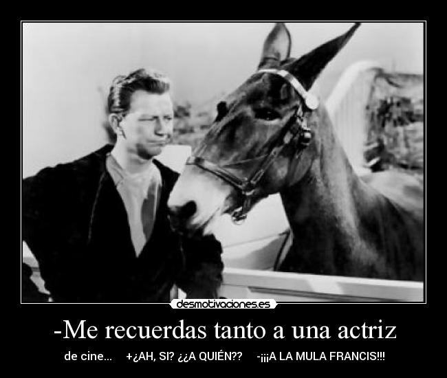 -Me recuerdas tanto a una actriz - de cine... +¿AH, SI? ¿¿A QUIÉN?? -¡¡¡A LA MULA FRANCIS!!!