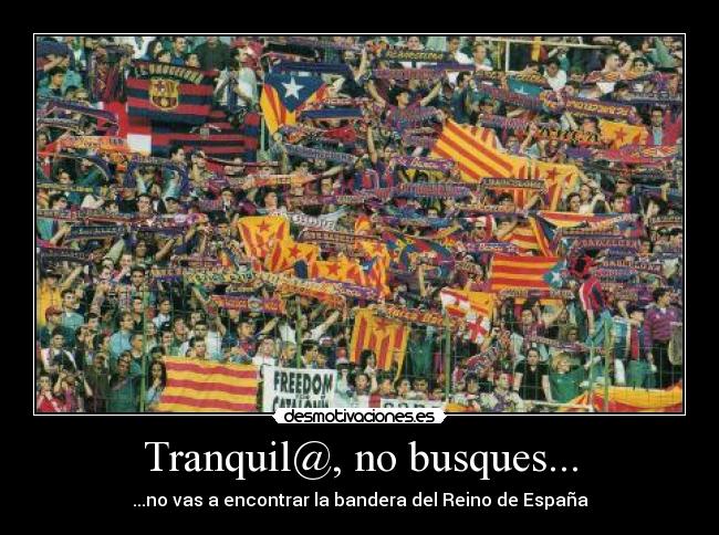 Tranquil@, no busques... -