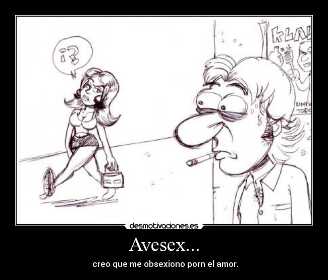 Avesex... -  creo que me obsexiono porn el amor.