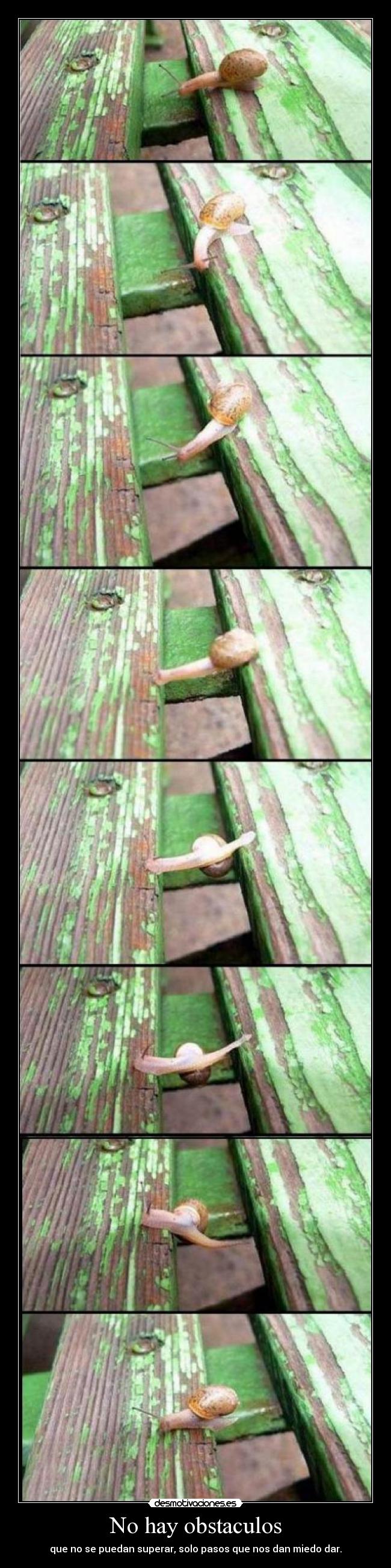 No hay obstaculos - 
